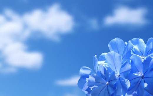 498088 (a): :1920x1200